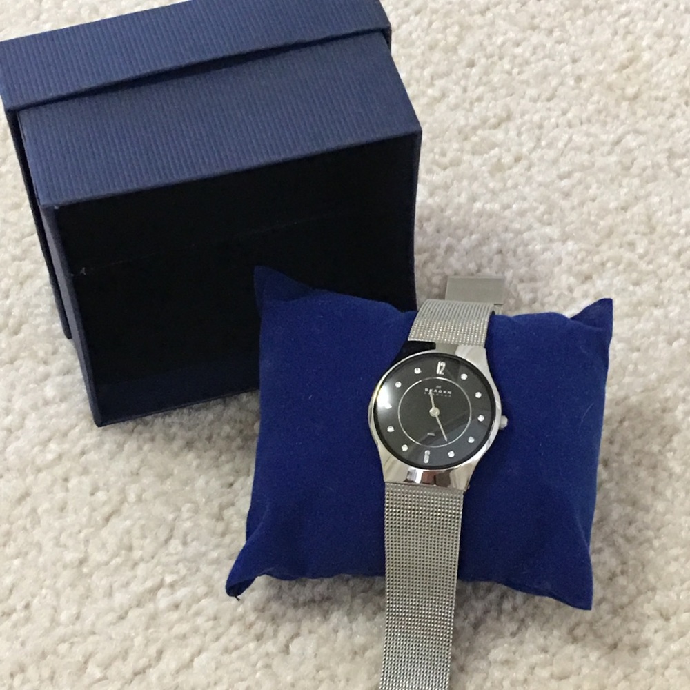 Skagen Silver Mesh Watch